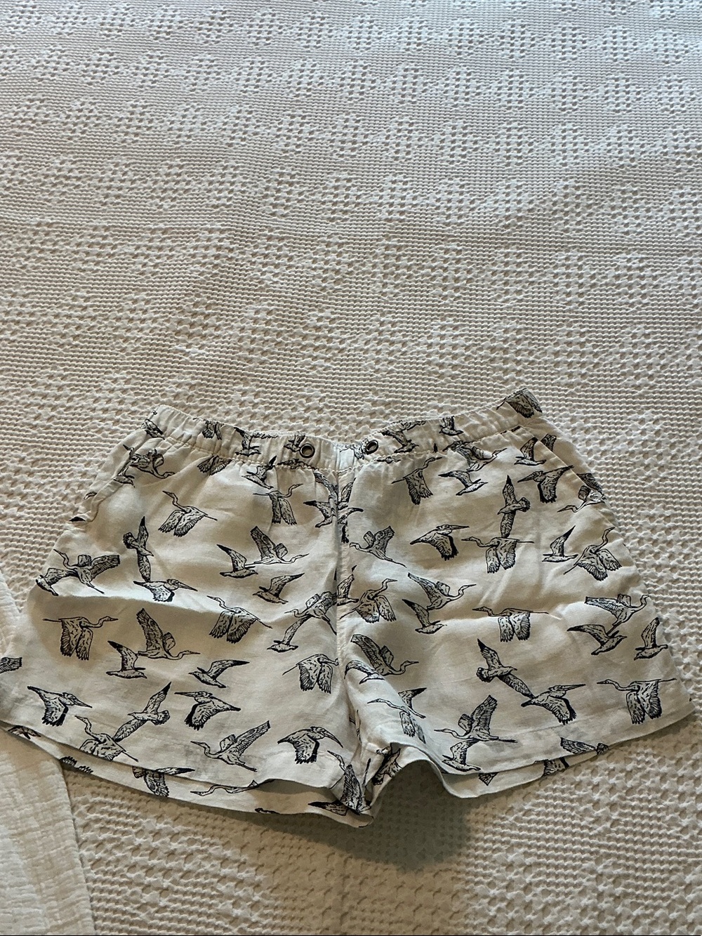 C&C California White Bird Print Women's Shorts